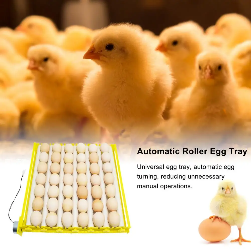 

70 Eggs Incubator Turn Tray Poultry Incubation Equipment Chickens Ducks And Other Poultry Incubator Automatically Turn Eggs