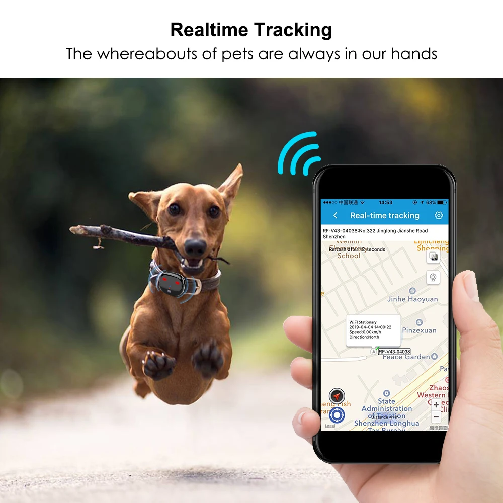 4G GPS трекер для собак водонепроницаемый спортивный шаг в режиме реального