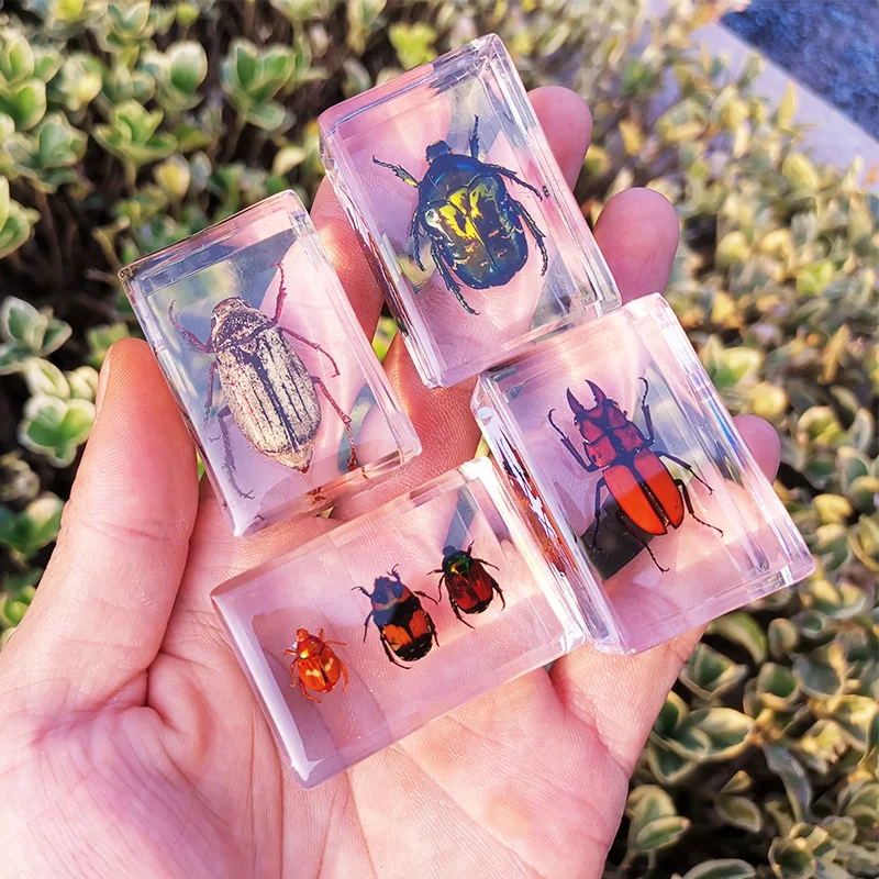 

Resin Animal Insect Specimen Miniatures Crab Spider Scorpion Scarab Handicraft Children SurpriseHome Decoration Crafts Gift