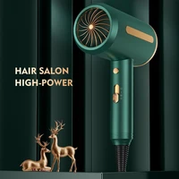 professional hair dryer hammer hairdryer blow negative ion blue light mini blower dry strong wind 2000w 220v electric dryer hair