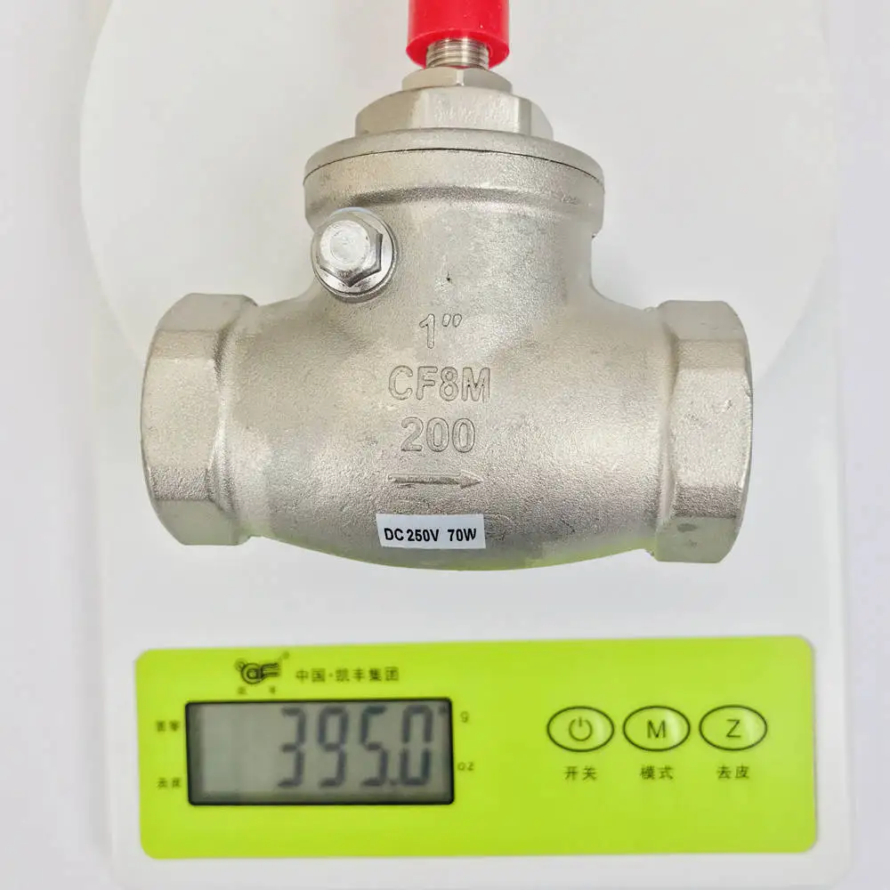 USB-FS10TS SUS304 перегородка Тип потока геркон Сенсор SS переключатель 8-50L/мин 250V DC 70 Вт 2