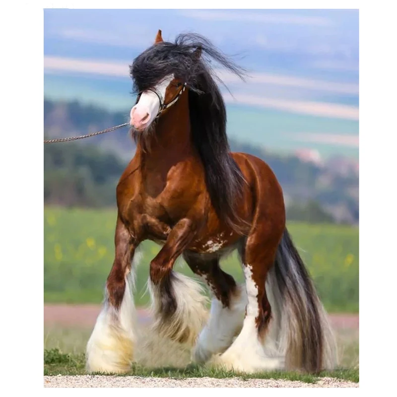 Вышивка бисером 5D &quotсделай сам&quot картина из страз Клайдсдейл рисунок лошади