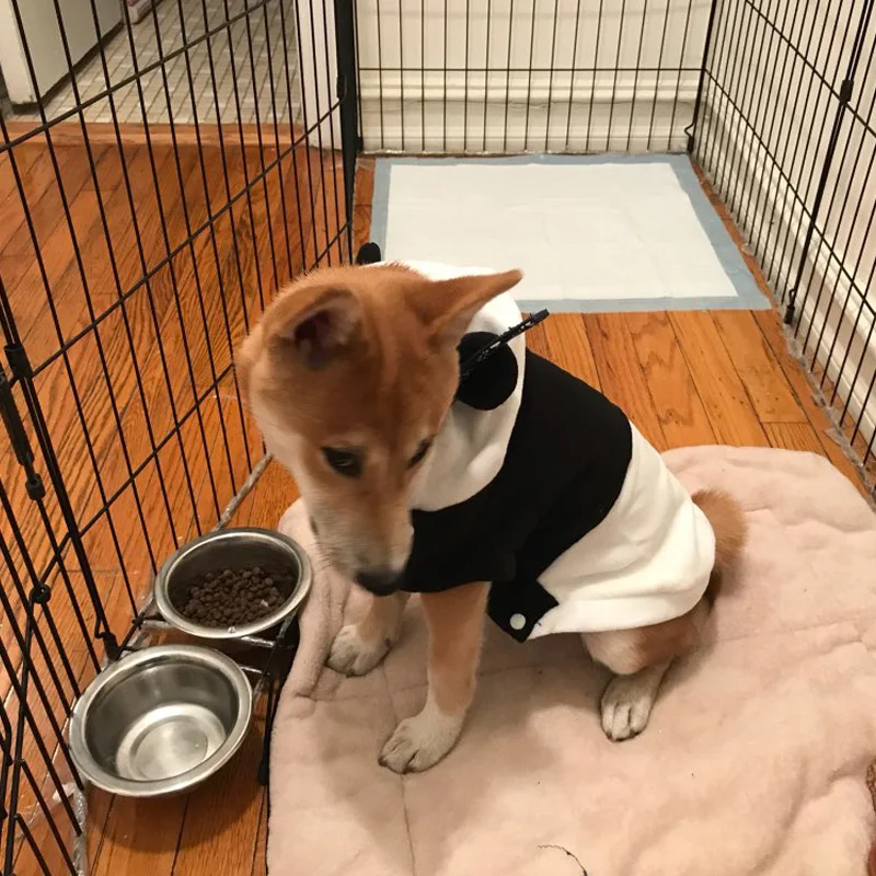 Одежда для собак зимняя Милая толстовка с капюшоном маленькой собаки кунг фу