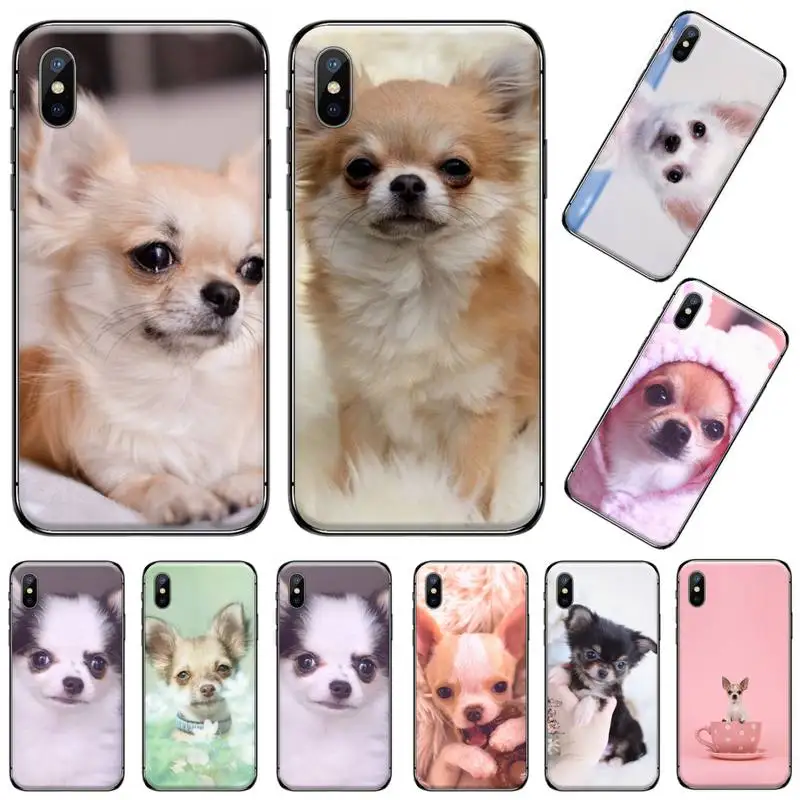 Чехол для телефона с изображением чихуахуа собаки Милого Животного подруги iphone 5