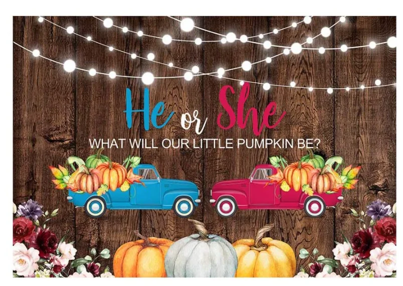 Rustic Pumpkin Gender Reveal Photography Backdrops Props Fall Autumn Red Pink Floral Trucks with Pumpkins Baby Shower Party enlarge