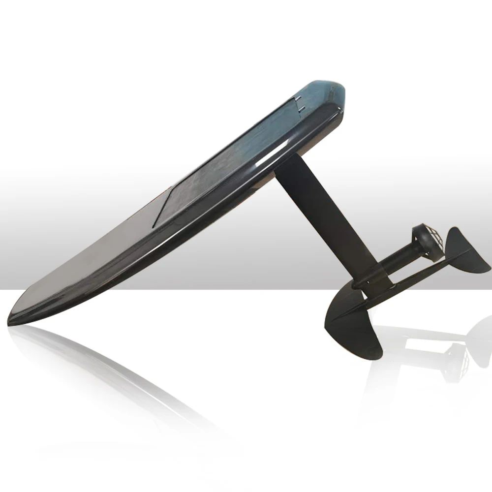 Рисунок 3 - Полностью углеродная эфольга