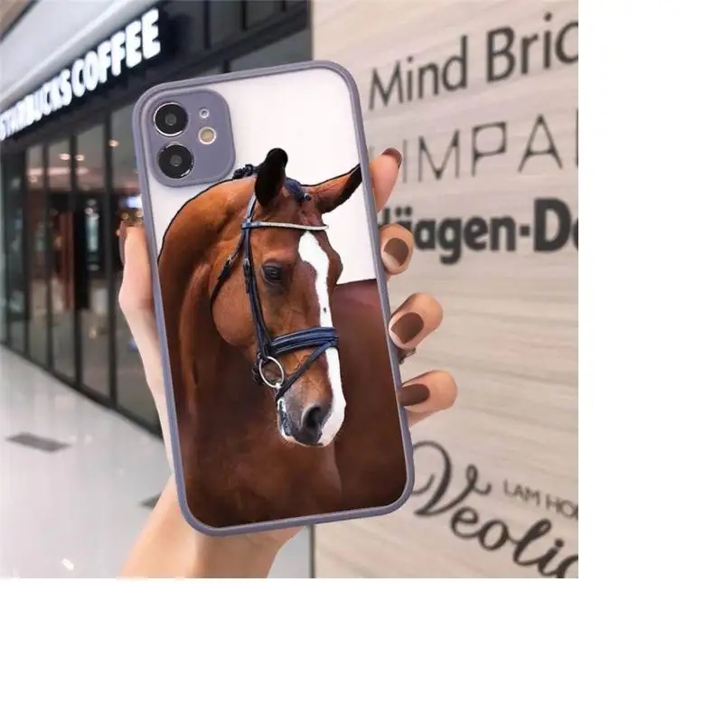

Frederik Great beauty horse art Phone Cases matte transparent For iphone 7 8 11 12 plus mini x xs xr pro max cover