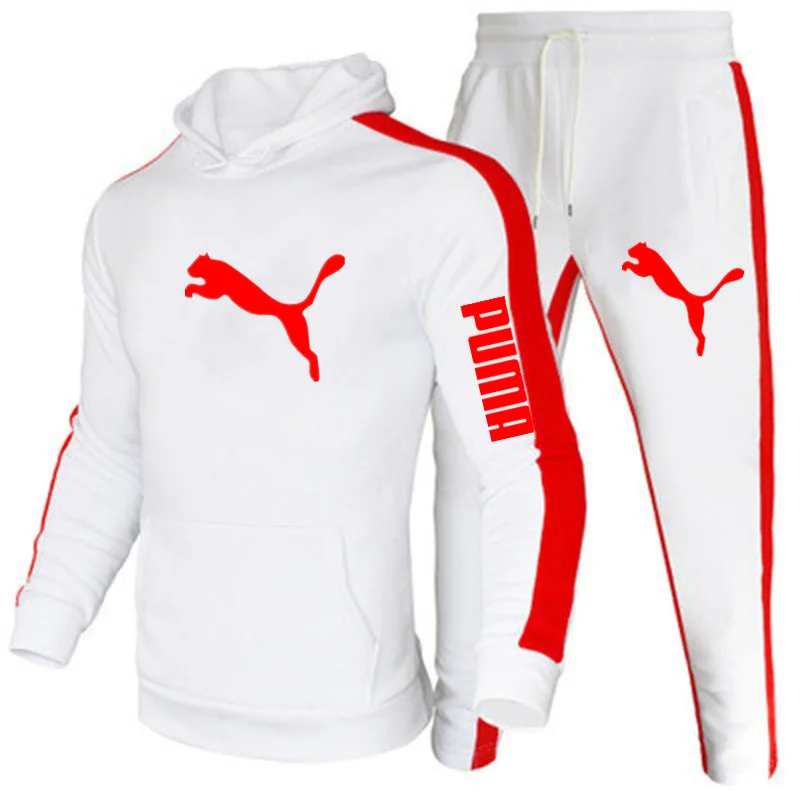 

Puma-Chaqueta cortavientos para hombre, chaqueta de moda para hombre, chaqueta informal con capucha, abrigo para hombre, abrigo