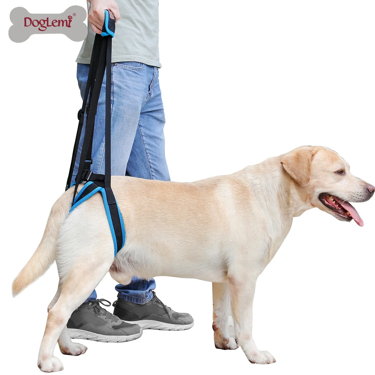 Old Dogs Balance Support Belt Dog Hind Legs Auxiliary Belt for Recovery Disability Leg Brace Hind Leg Help Walking Harness