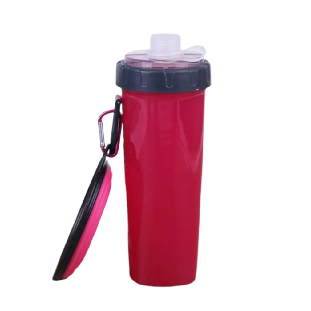 Домашние животные на открытом воздухе Два использования воды чашки с