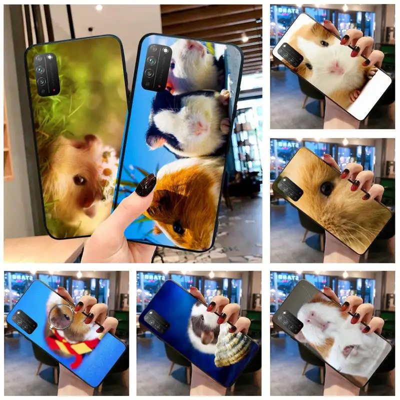 Чехол для Huawei Honor 30 20 10 9 8 8x 8c v30 Lite view pro с изображением морской свинки | Мобильные