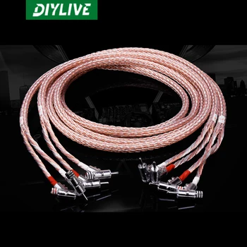 DIYLIVE Taiwan 12AC 7N single crystal copper silver plated single crystal copper fever main speaker cable HIFI speaker wiring