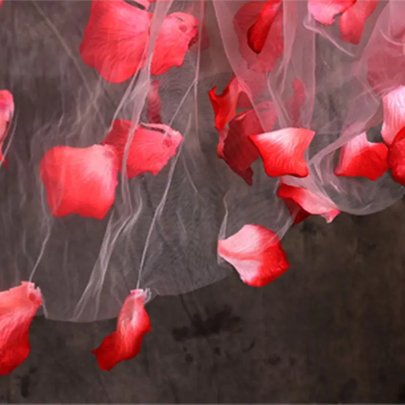 

4.7M One-Layer Women Trailing Tulle Cathedral Long Wedding Veil Faux Ombre Red Rose Petals Embellishment Cut Trim Bridal Veil