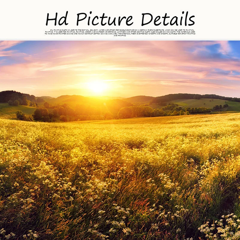 Натуральный цветок закат в горах пейзаж Куадрос холст картины скандинавский