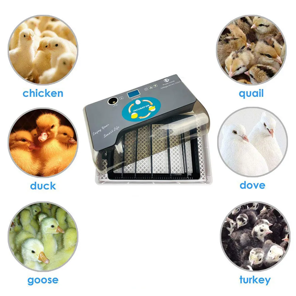 

New 12 Egg Hatchers Farm Hatchery Incubator Brooder Machine Digital Fully Automatic Incubator Poultry Hatcher Bird Quail Brooder