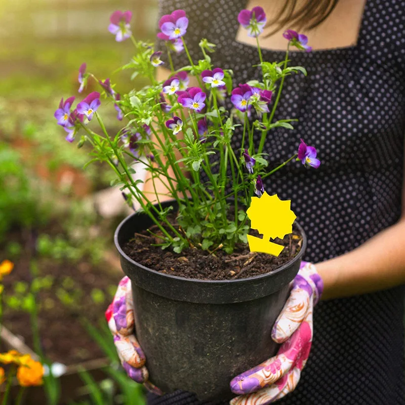 Липкие ловушки в форме желтой бабочки мощный клей для борьбы с насекомыми и