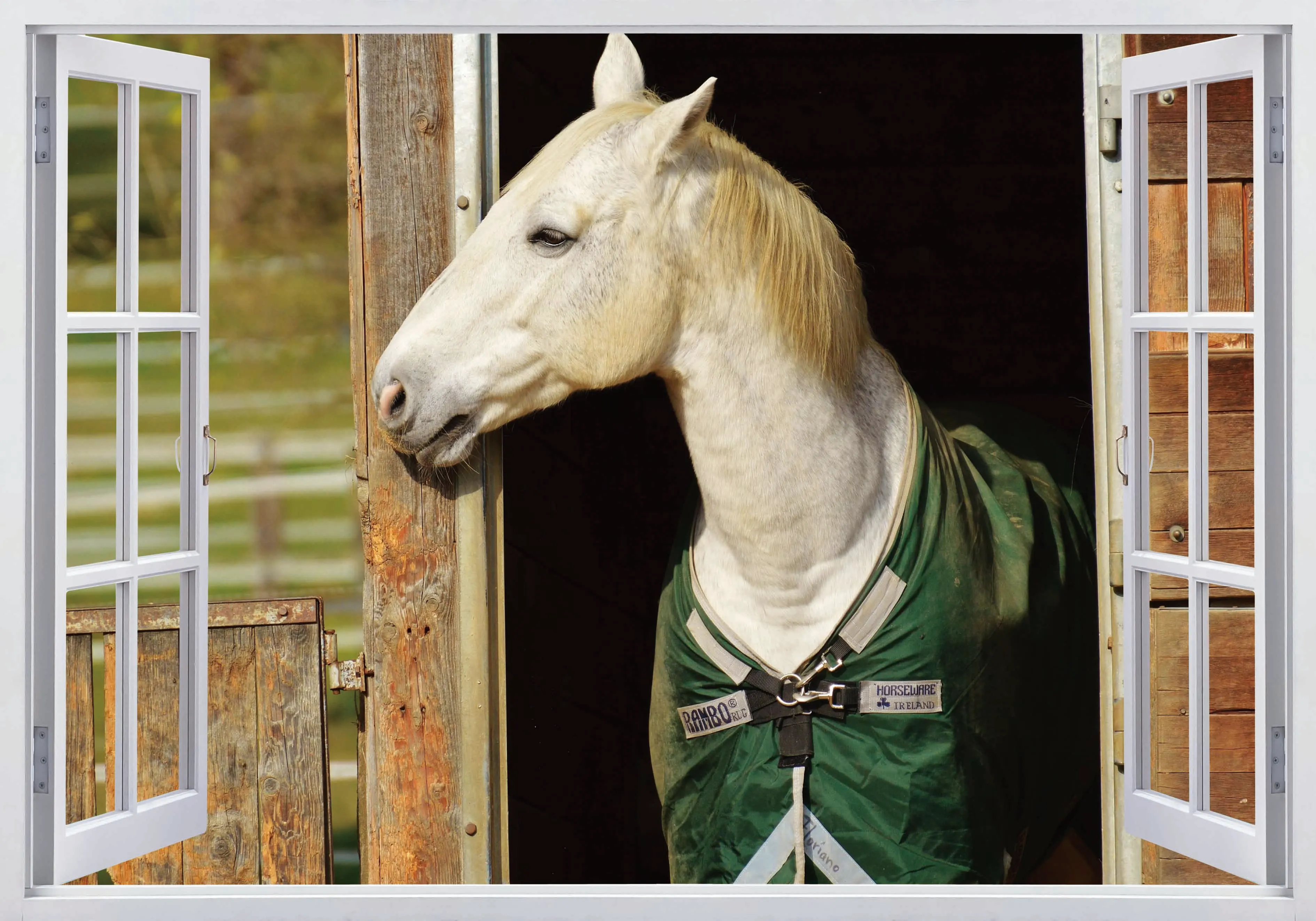 3D горячая окна Современная Белая лошадь настенные виниловые Спальня наклейки на