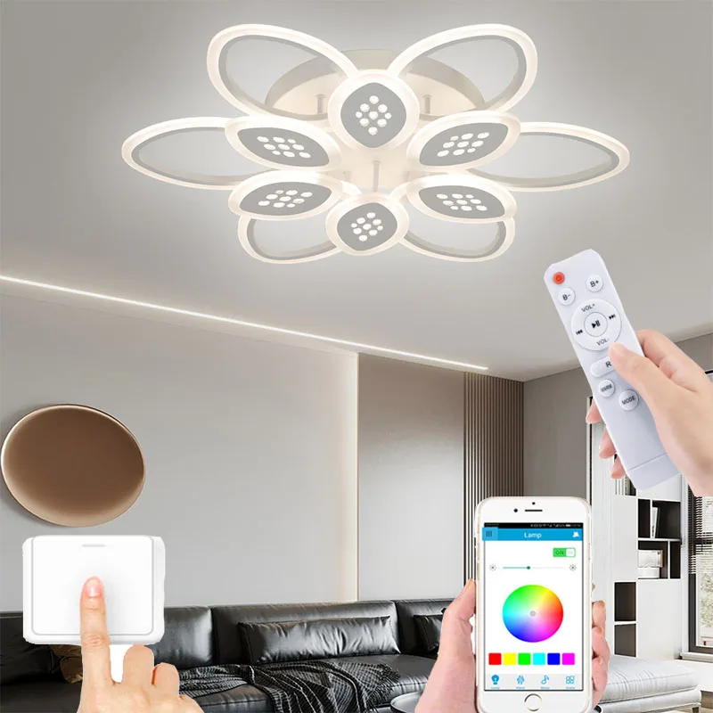 Modern living room LED ceiling lamp bedroom lighting villa dining room chandelier hotel room ceiling lamp remote control dimming