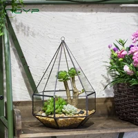 ncyp hanging glass flower pot hanging six surface diamond glass geometric terrarium plant succulent flowerpot home decor