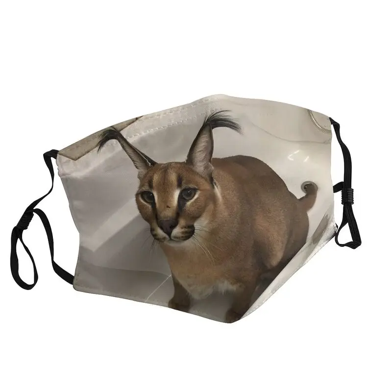 

Floppa Cute Meme Reusable Mouth Face Mask Adult Funny Caracal Cat Mask Anti Dust Haze Protection Cover Respirator Muffle