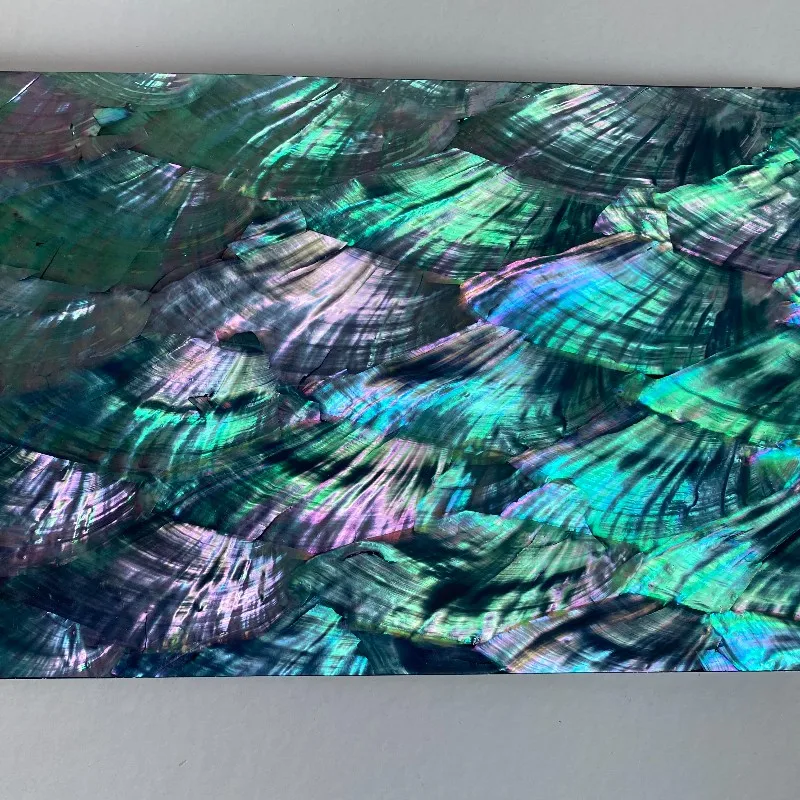 Веерообразная ракушка из черного фона без декора аксессуары для музыкальных