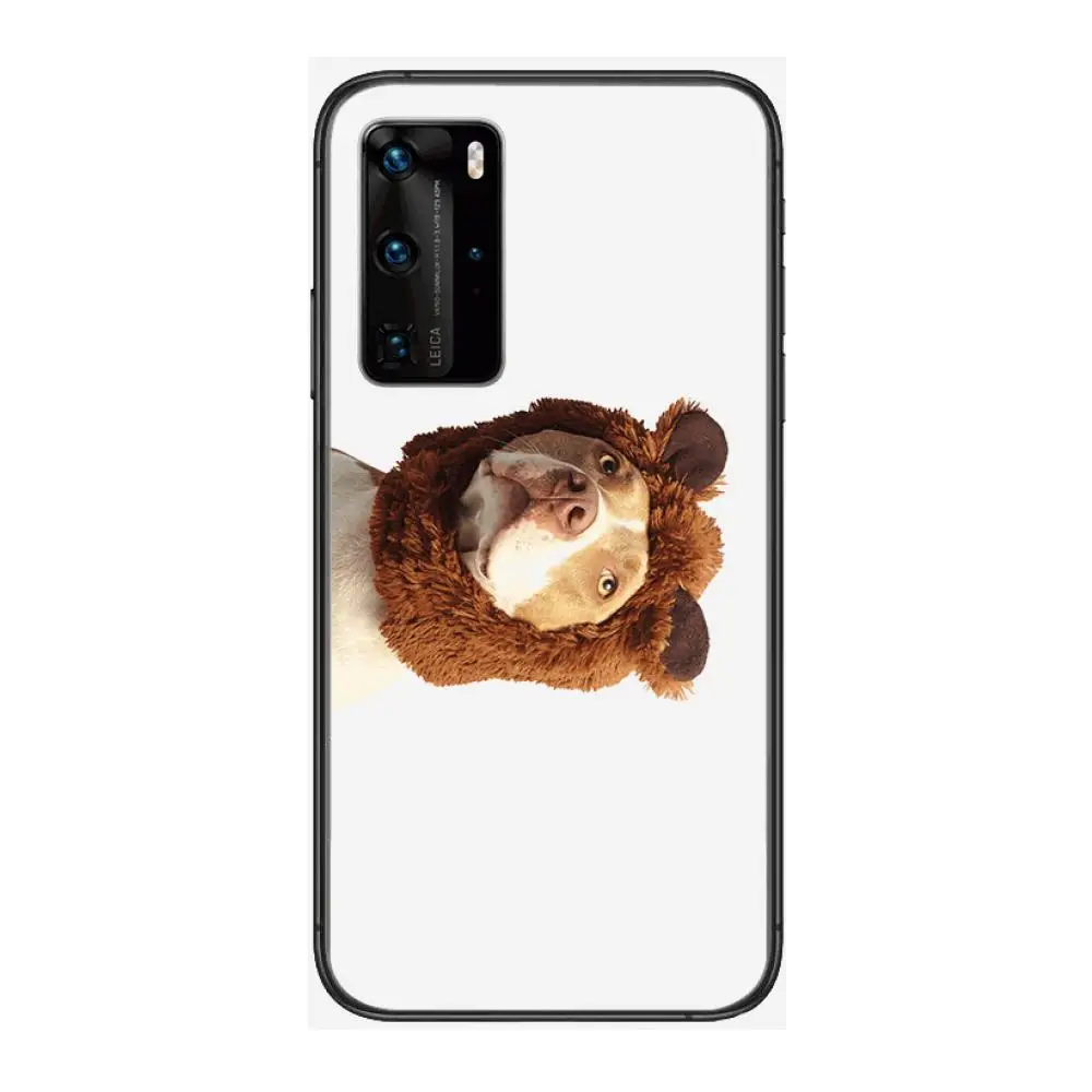 

Personality dress pet dog Fashionable and cute Phone Case For Huawei P 40 30 20 10 9 8 Lite E Pro Plus Black Etui Coque Paintin