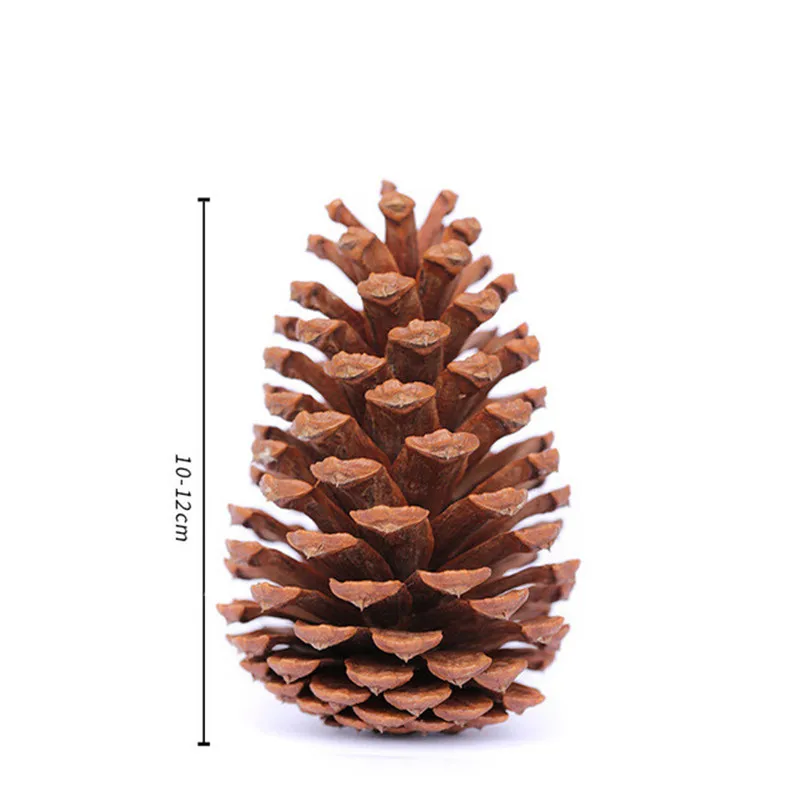 

10pcs Natural Dried flowers Pine cone Acorn wholesale Artificial Flower For Home Christmas DIY Garland Decorationreath wedding