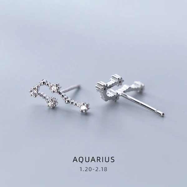 AQUARIUS Modian Изысканные 12 созвездий милые женские хрустальные Leo Aquarius серьги гвоздики для женщин стерлингового серебра 925 ювелирные изделия - Окраска металла: AQUARIUS