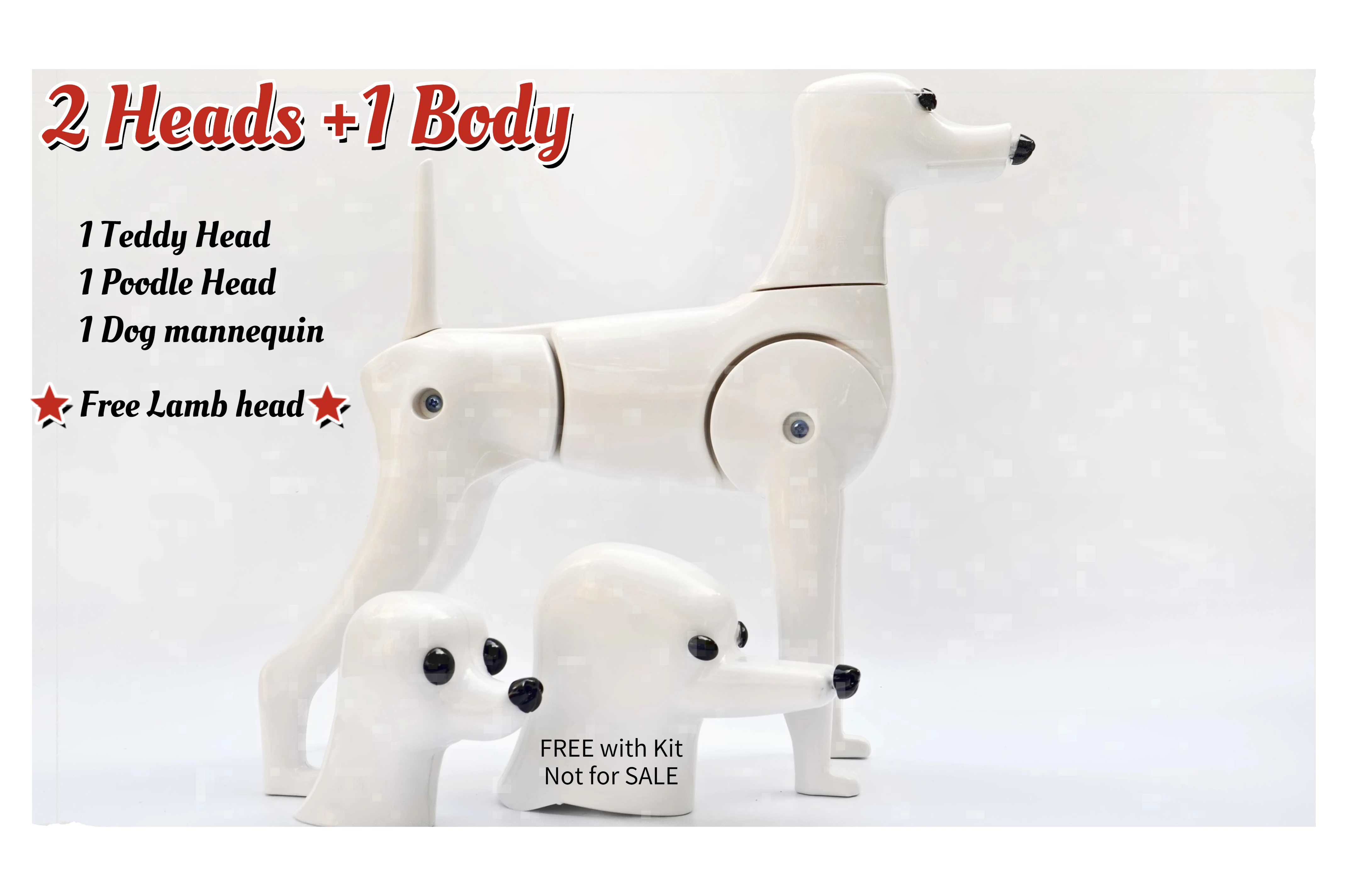 Multifunction Grooming Model Dog Mannequin Display Plastic Skeleton For Pet Groomer 1 Body 3 changeable Head | Дом и сад