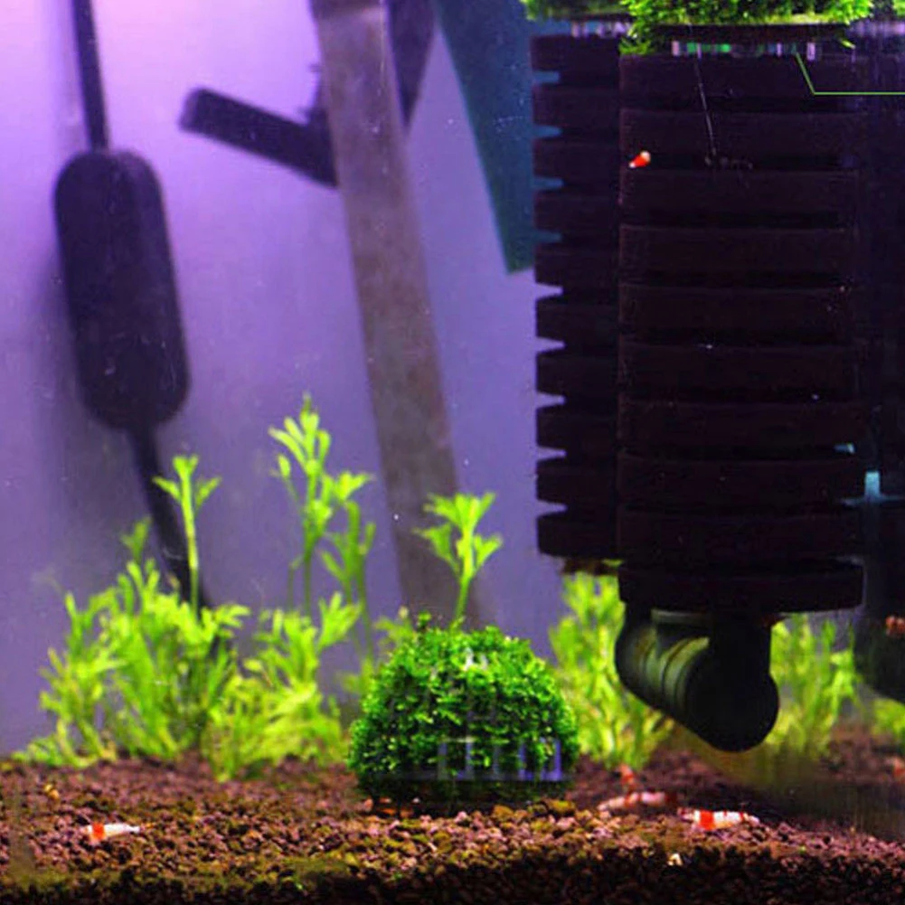 

Marimo Moss Ball Filter Live Aquarium Aquatics Plants Fish Shrimp Tank Pet Decor