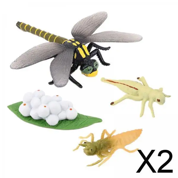 

2xLifelike Dragonfly Growth Life Cycle Insect Model Child Early Teaching Toy
