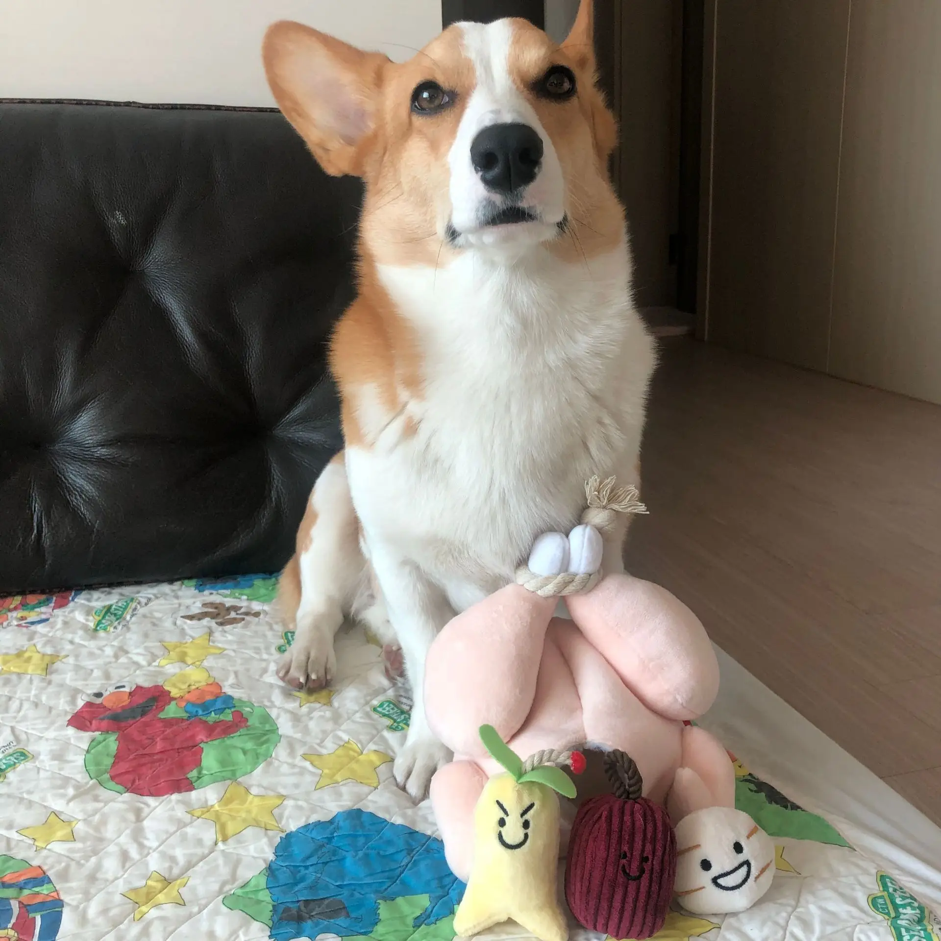 

Hot Sale Puppy Pet Play Chew Toys Dog Toys for Dogs Cats Pets Supplies Cute Chicken Plush Squeaky Toy