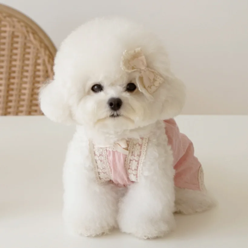 

INS Korea spring and summer new lace sling Bichon Teddy dog skirt cotton pet clothes dress to send lace hairpin