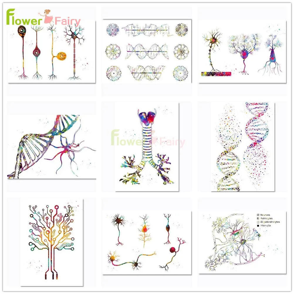 

Chromosome Duplication Mitochondria Biology Cell Nordic Poster Wall Art Canvas Painting Wall Pictures For Living Room Unframed