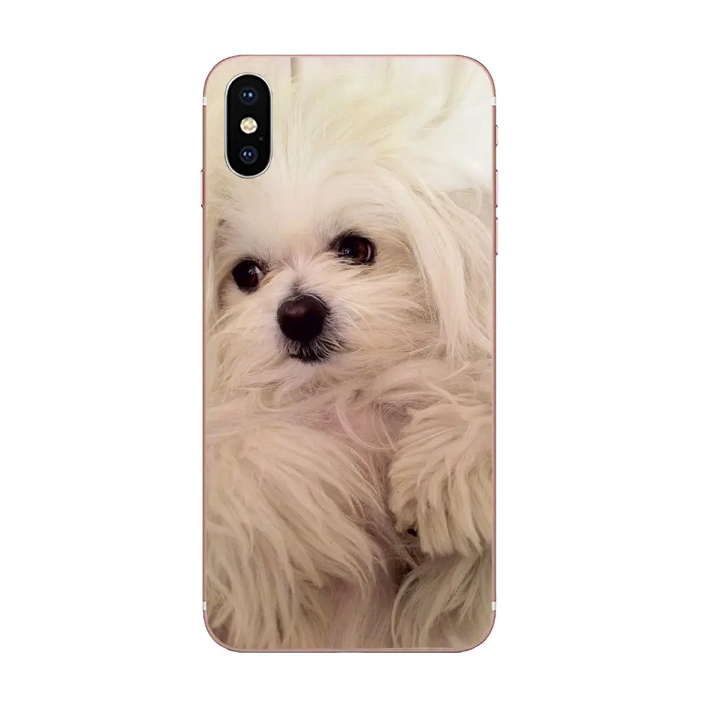 Футболки с надписью I Love My Мальтийская болонка Щенки для Galaxy Alpha Note 10 Pro A10 A20 A20E A30 A40