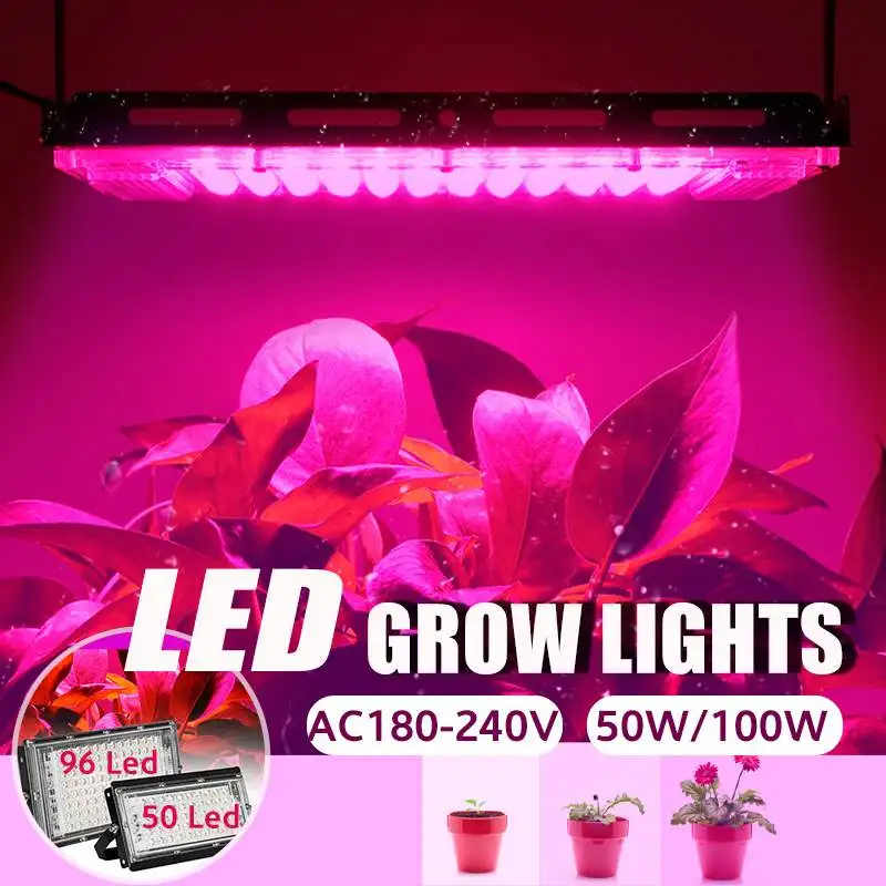 

LED Grow Light Full Spectrum Phyto Lamp For Plants 50W 100W AC180V-240V LED Grow Lamp Phytolamp Seed Greenhouse Growth Lighting