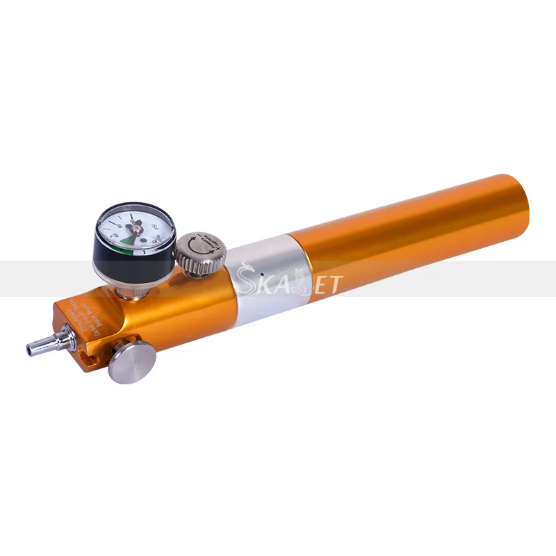 Hot Sale Carboxytherapy CO2 Injection Machine CDT with Suitcase for Beauty Salon Use | Multi-Functional Devices