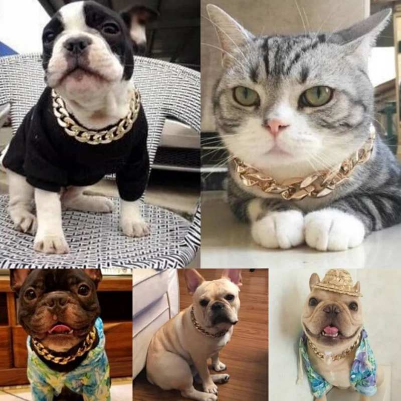 

36/45cm Dog Cat Gold Chain Collar Thick Collars Plastic Plated Identified Safety Collar Puppy Dogs Cat Supplies Hot Dropshipping