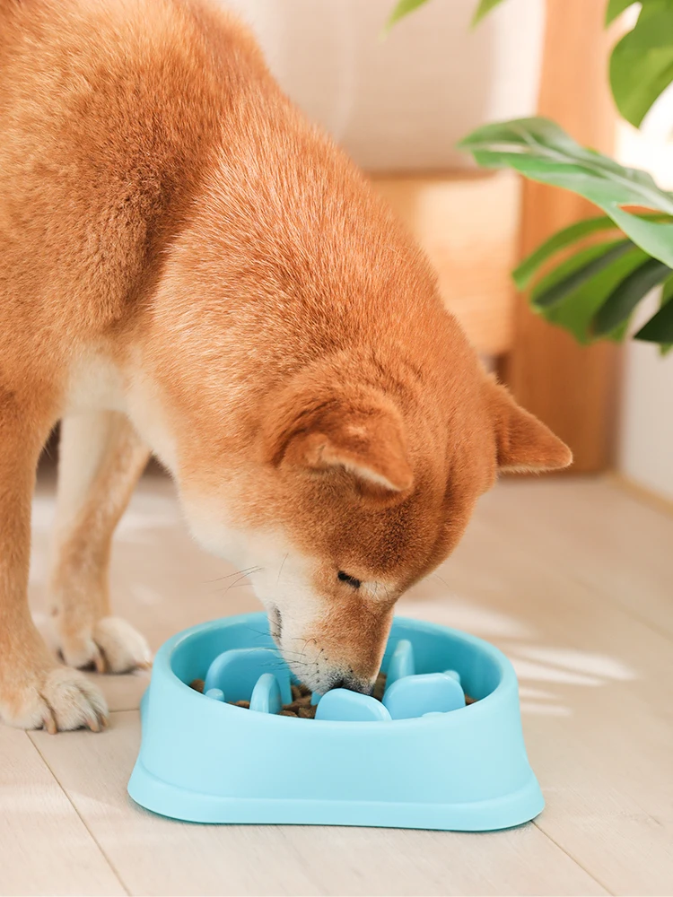 

Миска для собак миска для медленного корма Тедди файтинг щенок Единая миска против удушения миска для медленного корма для кошек товары для...