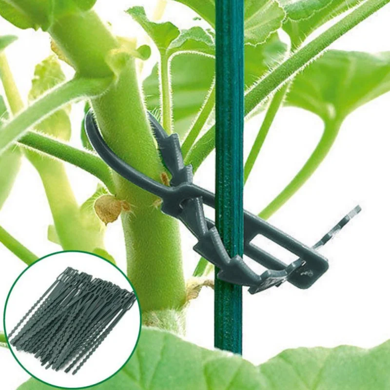Garden Tools 50Pcs Plastic Plant Cable Ties Tree Climbing Support Pot Reusable Flower Tie Adjustable | Дом и сад