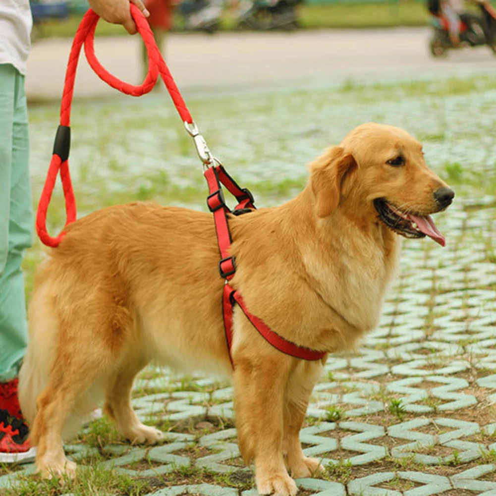 3 шт./компл. поводок для собак жгут с ошейником прогулочные товары щенков