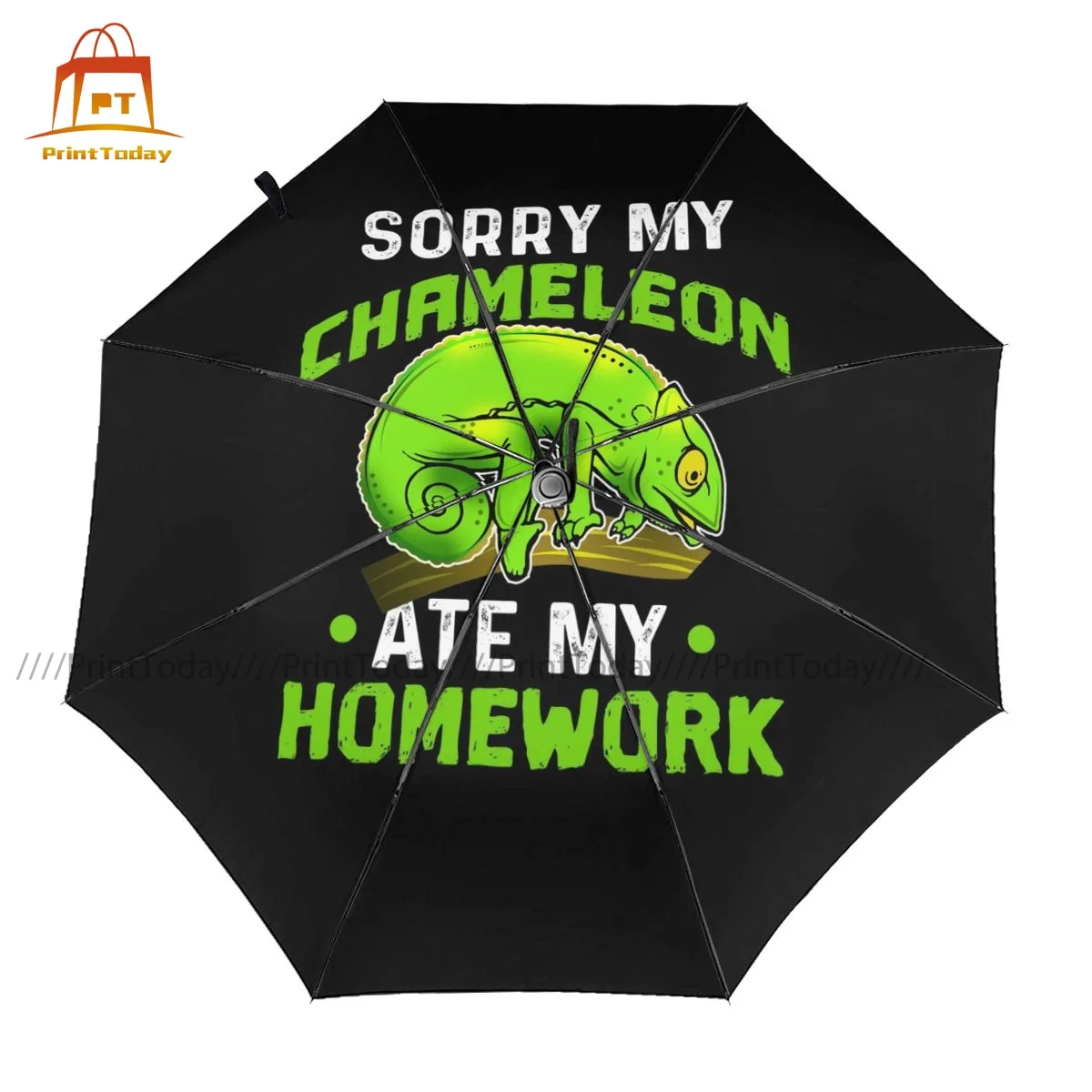 

Chameleon Umbrella Anti UV Fishing Umbrella Colorful Automatic Print Reinforced Umbrella