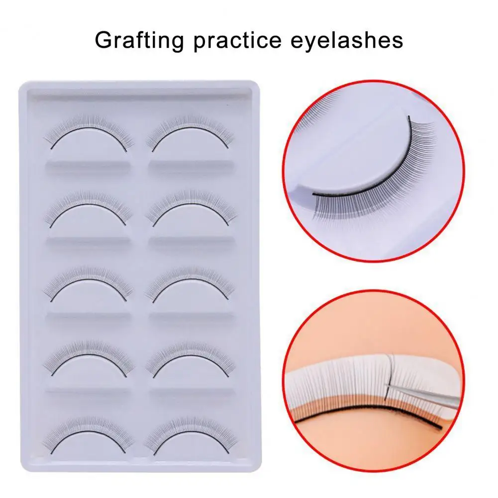 

5Pairs/Box Fine Craftsmanship Convenient Fiber False Eyelashes Makeup Extensions Teaching Lashes Eye Lashes for Practice рука
