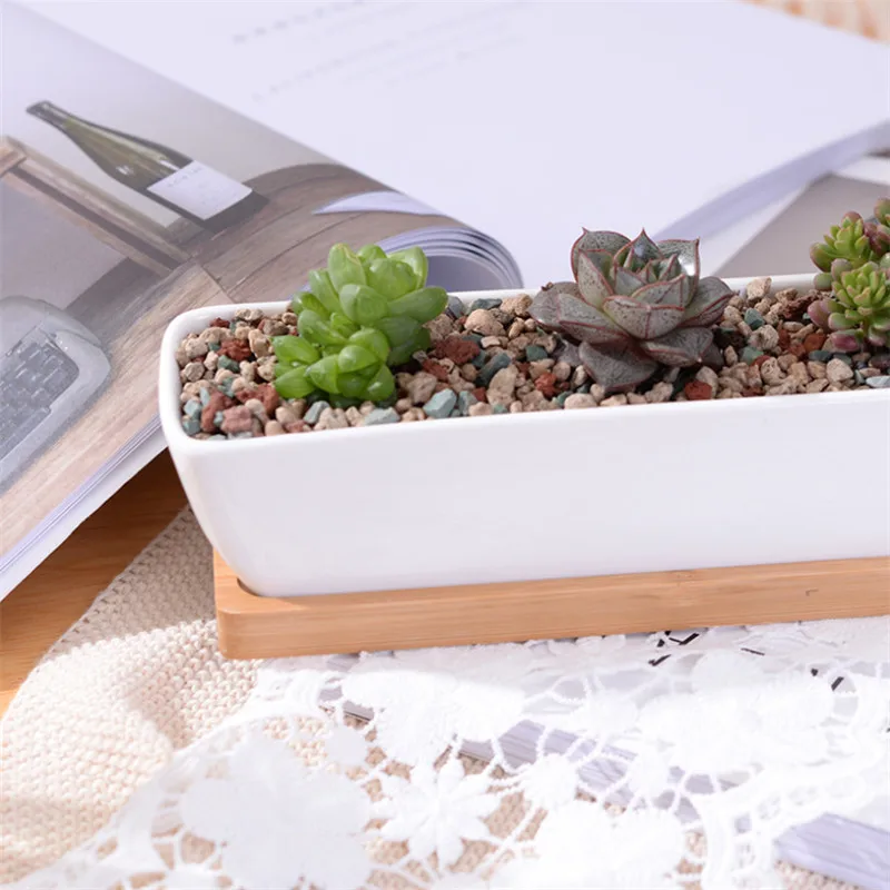 1 Set Minimalist Ship Shape White Ceramic Succulent Plant Pot Bonsai Planter Porcelain Flower with Bamboo Tray Home Decor | Дом и сад
