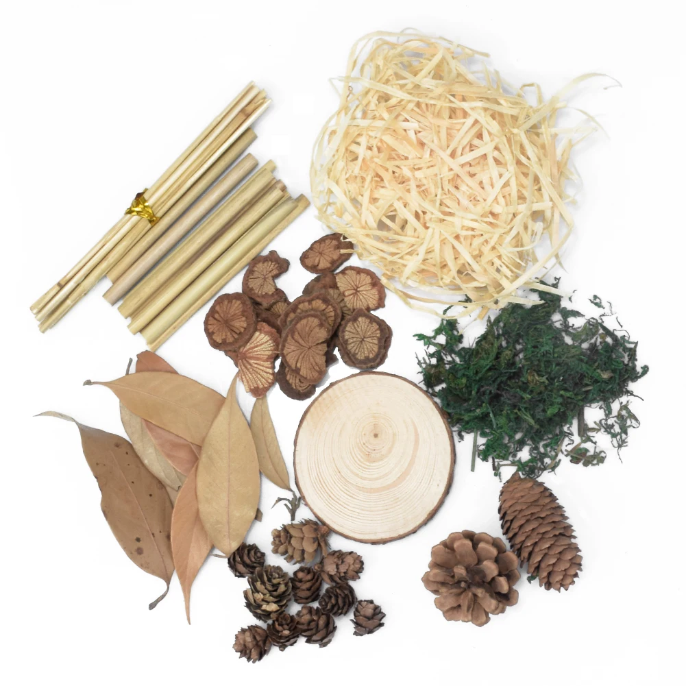 10 шт. натуральные сухие растения Pinecone мох дерево шерсть фотостудия украшения для