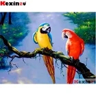 Камни в форме ромбакруглый 5d алмазная живопись-красные, синие Parrot-3d Вышивка крестом мозаика полное представление о Стразы Декор Y1122