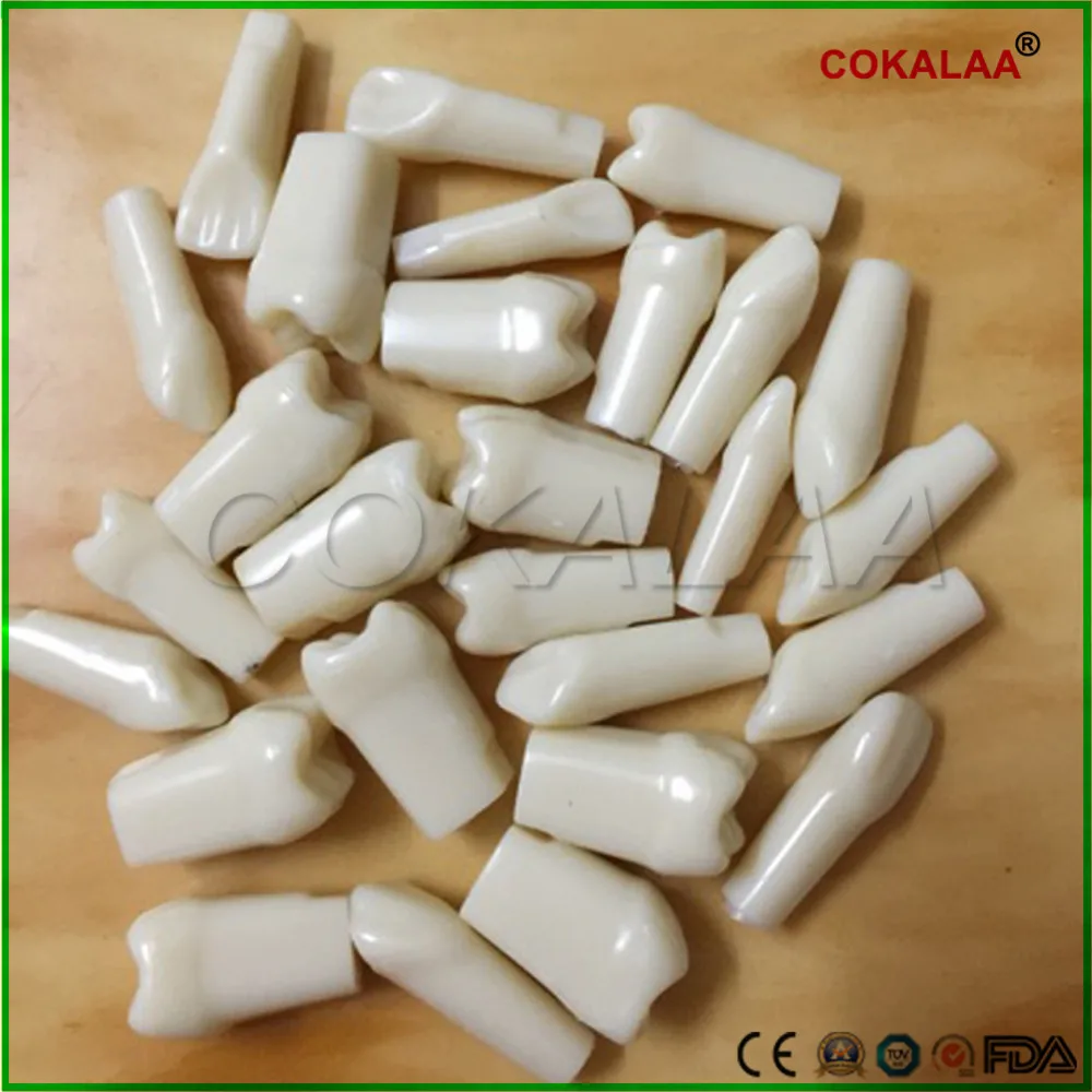 Подготовка зубов шлифовки и полировки Управление практика 28 шт. запасные