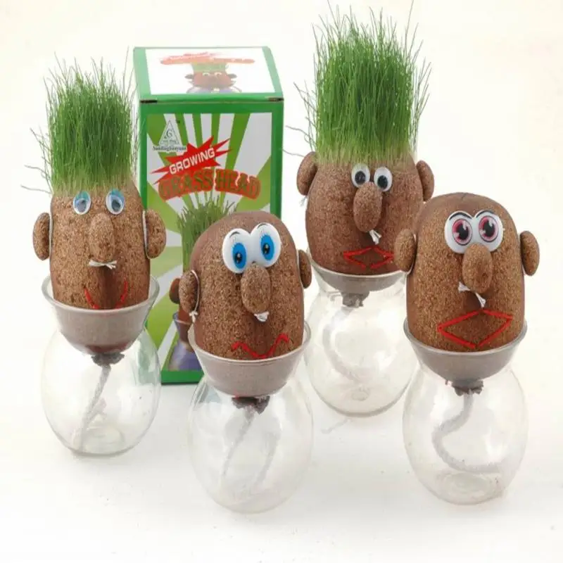 

DIY Flower Pot Home Decoration Planter Mini Growing Grass Head Education Toys Grass Head Dolls Creative Garden Planter Pots