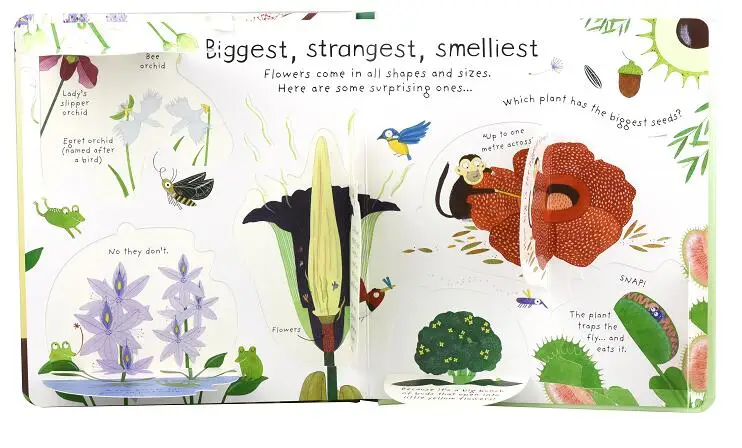 Первые вопросы и ответы через Usborne как расти цветок английские Обучающие книжки с