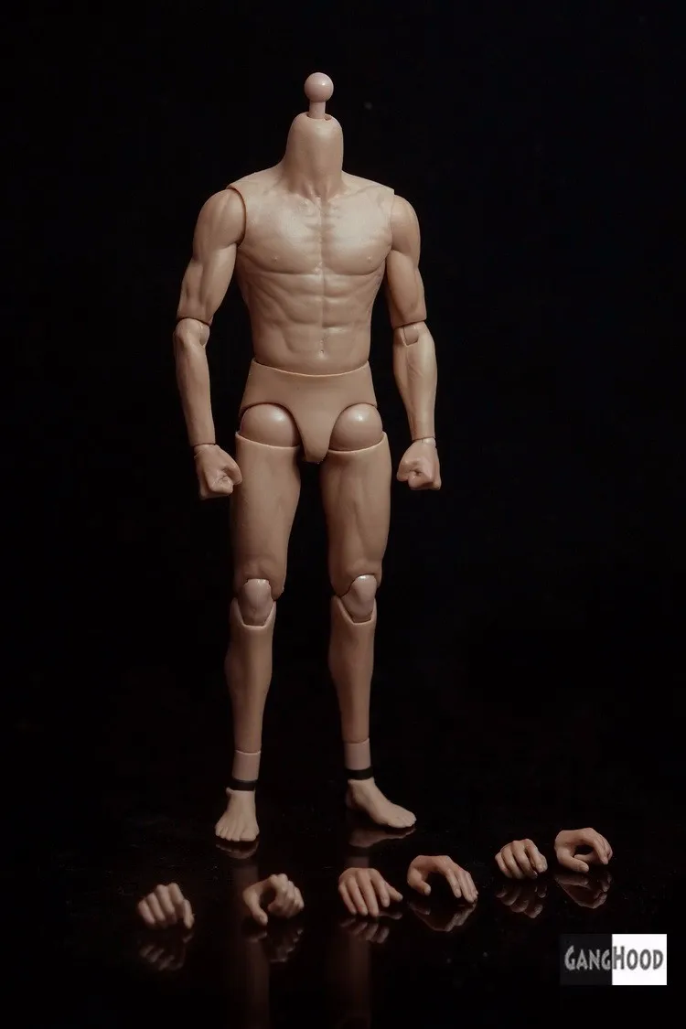 

1/6 Scale G002 Asian Male Body Action Figure for Muscular Model Bruce Lee Similar to HT DX04 With Extra Hands